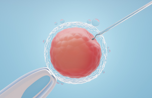 Infertility & Reproductive Medicine